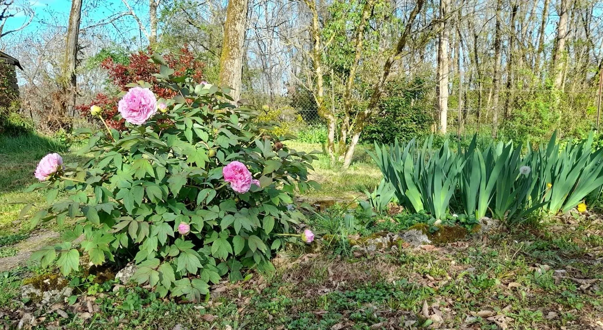 Maison Le Petit Bonheur Soturac 0*,  Γαλλία
